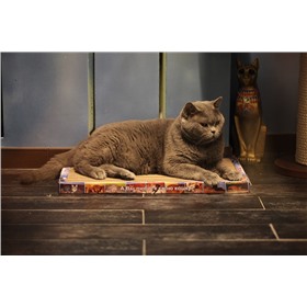 Когтеточка “Когтедралка домашняя” для котов, кошек и котят.